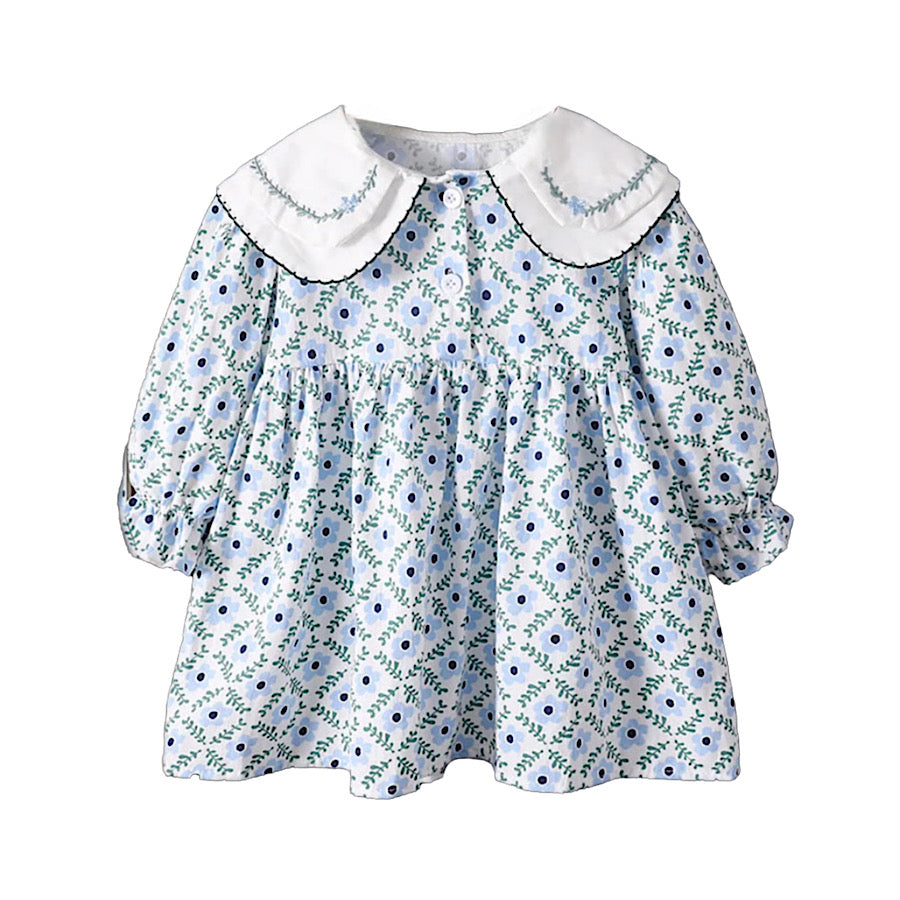 Baby Girls Blue Floral Print Long Sleeve Spring Casual Princess Dress, Color